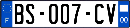 BS-007-CV