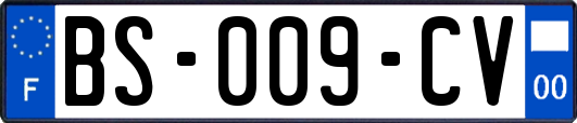 BS-009-CV