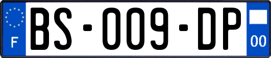 BS-009-DP