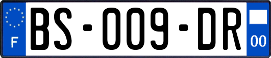 BS-009-DR