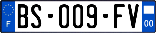 BS-009-FV
