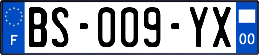 BS-009-YX