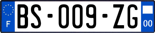 BS-009-ZG