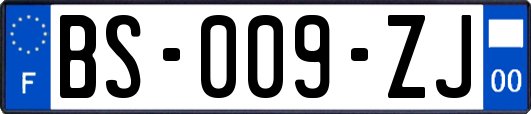 BS-009-ZJ