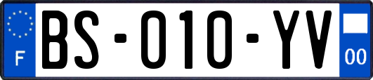 BS-010-YV