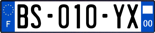 BS-010-YX