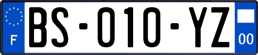 BS-010-YZ