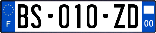 BS-010-ZD