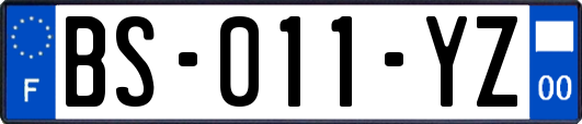 BS-011-YZ
