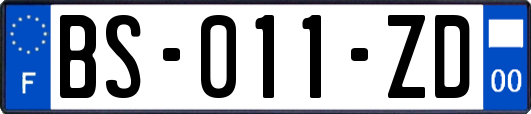 BS-011-ZD