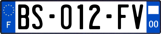 BS-012-FV