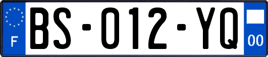 BS-012-YQ