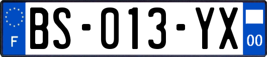 BS-013-YX