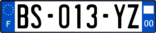 BS-013-YZ