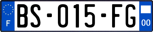 BS-015-FG