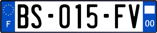 BS-015-FV