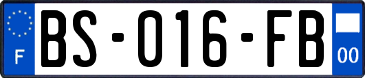 BS-016-FB
