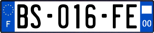 BS-016-FE