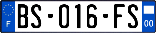 BS-016-FS