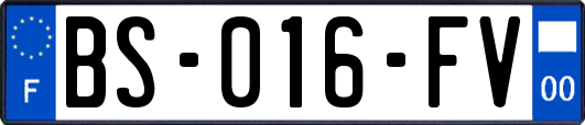 BS-016-FV