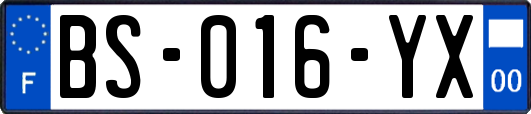 BS-016-YX