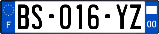 BS-016-YZ