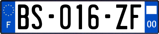 BS-016-ZF