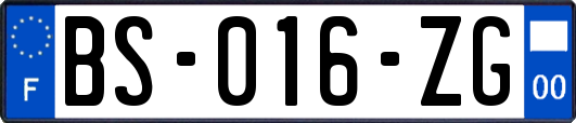 BS-016-ZG