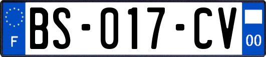 BS-017-CV