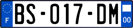 BS-017-DM