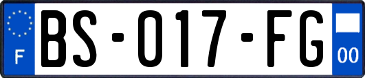 BS-017-FG