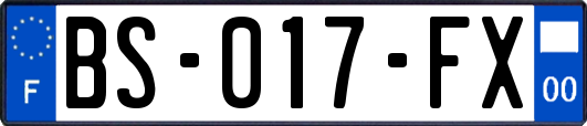 BS-017-FX