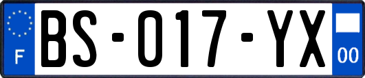BS-017-YX
