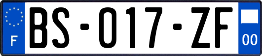 BS-017-ZF