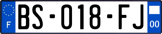 BS-018-FJ