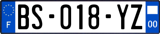 BS-018-YZ