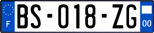 BS-018-ZG