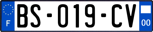 BS-019-CV