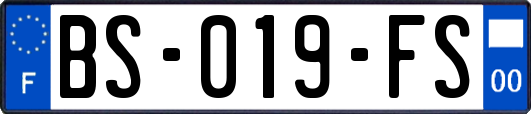 BS-019-FS
