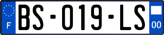 BS-019-LS