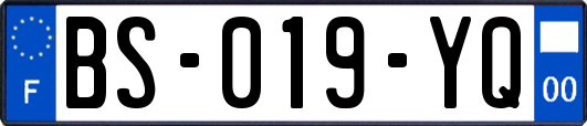 BS-019-YQ