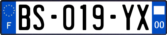 BS-019-YX