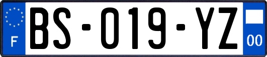 BS-019-YZ