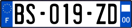 BS-019-ZD