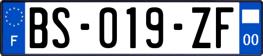 BS-019-ZF