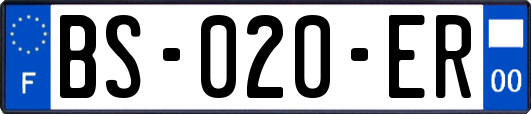 BS-020-ER