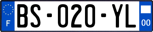 BS-020-YL