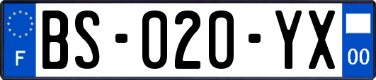 BS-020-YX