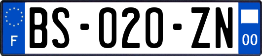 BS-020-ZN