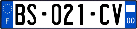 BS-021-CV